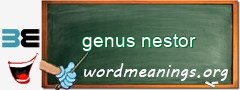 WordMeaning blackboard for genus nestor